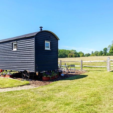 ウォーターロービル Crabden Shepherd Hut - Blendworthヴィラ エクステリア 写真