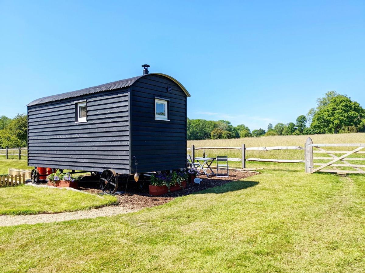 ウォーターロービル Crabden Shepherd Hut - Blendworthヴィラ エクステリア 写真
