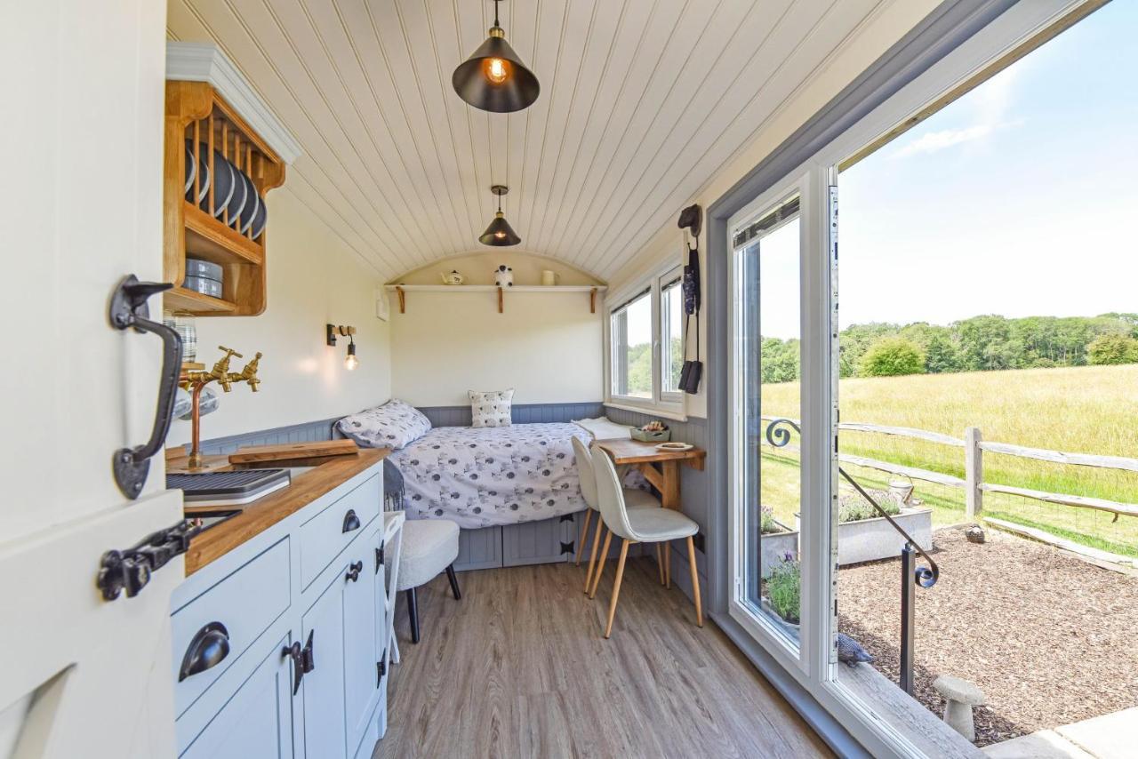 ウォーターロービル Crabden Shepherd Hut - Blendworthヴィラ エクステリア 写真